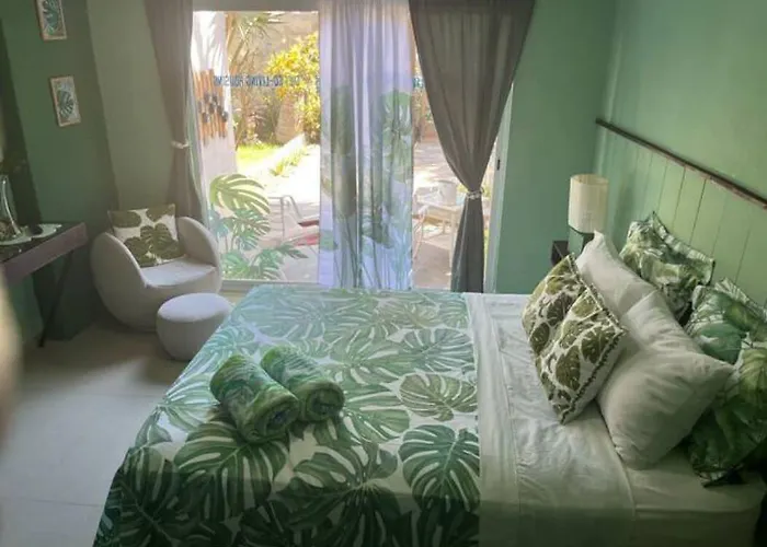 Dici Coliving Housing The Friends Hostal Cabo San Lucas